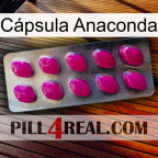 Cápsula Anaconda 09